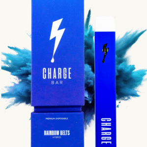 CHARGE BAR RAINBOW BELT (HYBRID) | 1GRAM DISPOSABLE - chargebarofficial.com